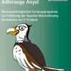 Adlerauge Anyel, Buch + Downloadmaterial, 5-9 Jahre