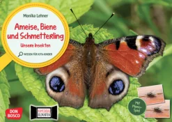 Ameise, Biene und Schmetterling. Unsere Insekten. Kamishibai Bildkarten und Memo-Spiel ab 3 Jahre