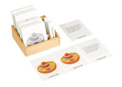 Animal Cell Nomenclature Cards EN