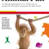 Animal Fun Program, Bewegungsprogramm, 3-6 Jahre