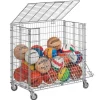 Ballwagen, klappbar, Außenmaß: 61 x 100 x 104 cm