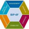 BIP®-6F Schablonensatz