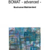 BOMAT - advanced - Bochumer Matrizentest