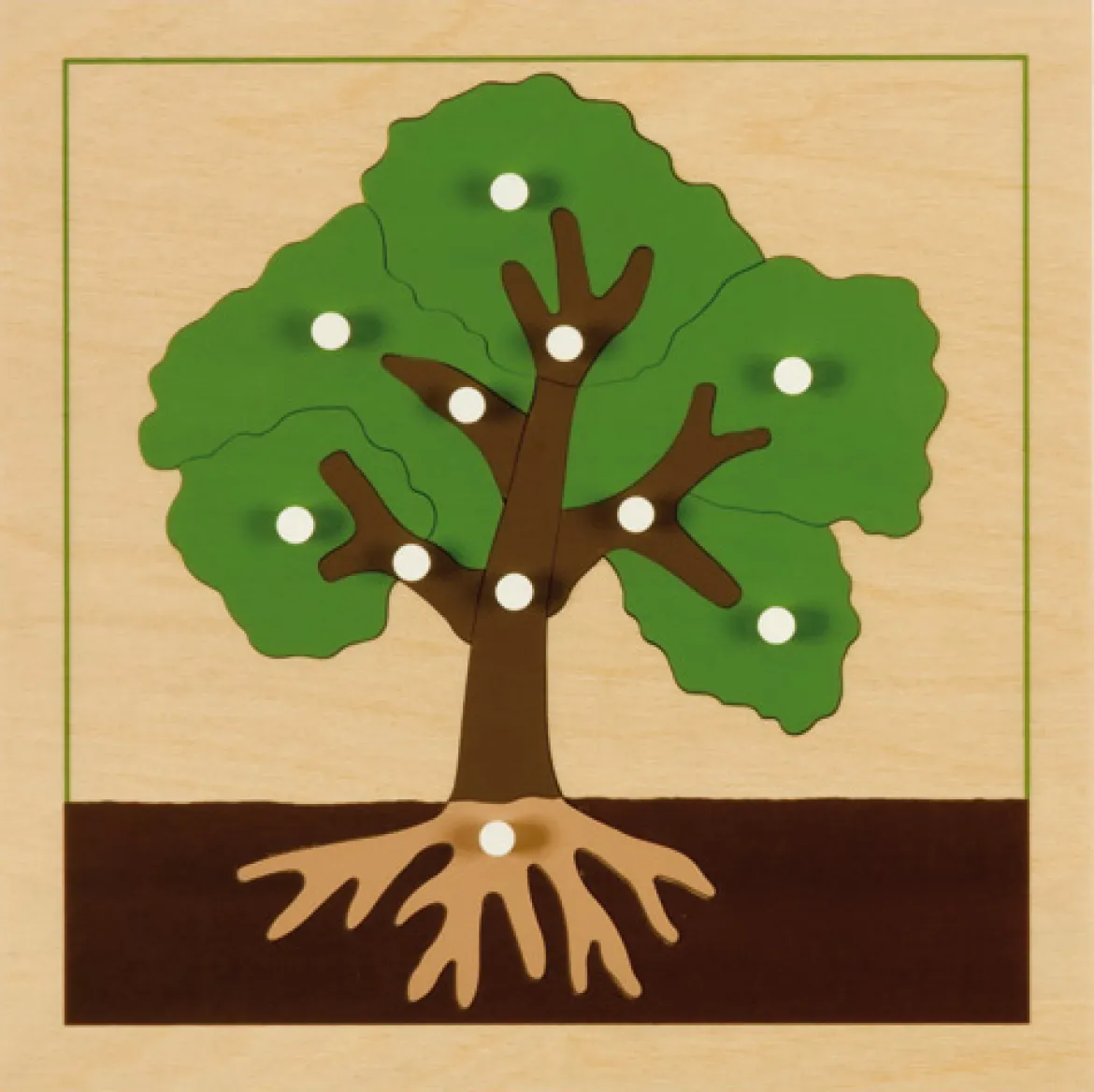Botanisches Puzzle: Baum, ab 4 Jahre