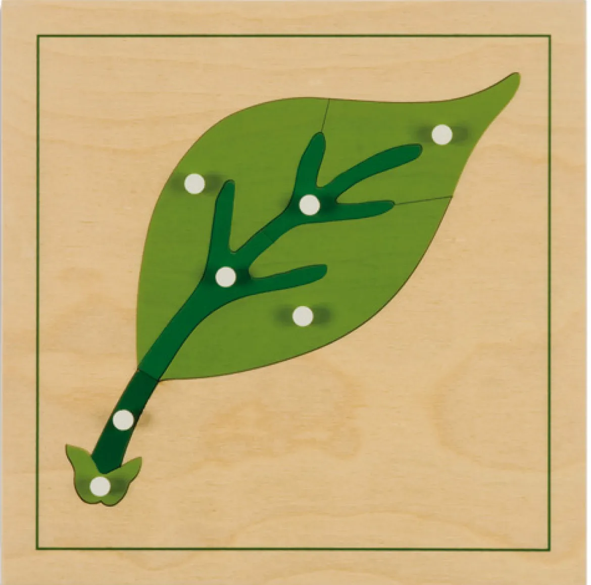 Botanisches Puzzle: Blatt, ab 4 Jahre