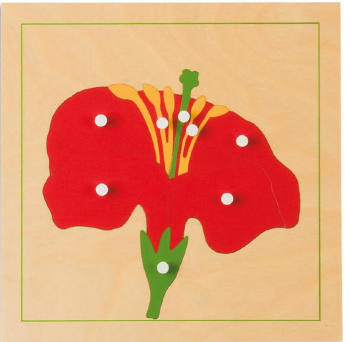 Botanisches Puzzle: Blüte, ab 4 Jahre