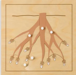 Botanisches Puzzle: Wurzel, ab 4 Jahre