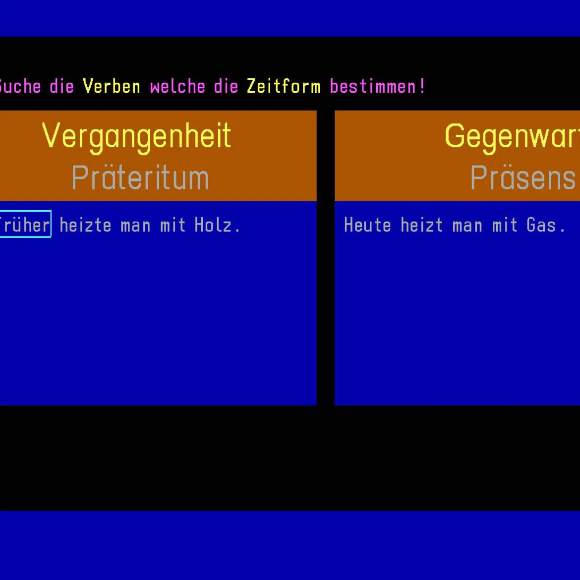 Budenberg Lernprogramm 3.-6. Klasse (Einzelplatz)