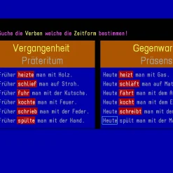 Budenberg Lernprogramm 3.-6. Klasse (Schullizenz)