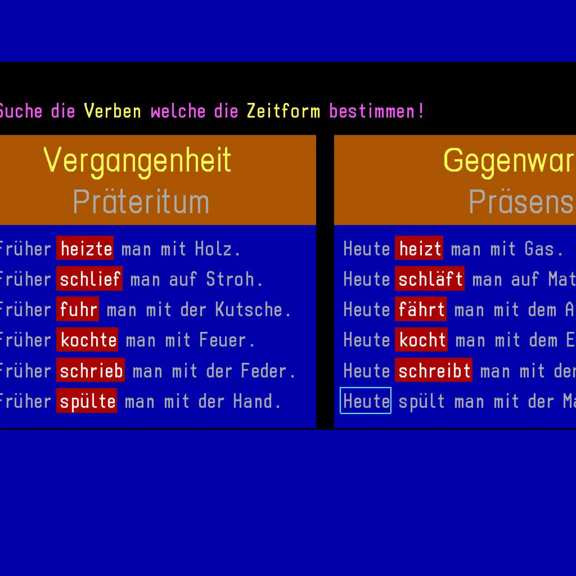 Budenberg Lernprogramm 3.-6. Klasse (Schullizenz)