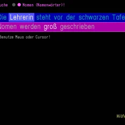 Budenberg Lernprogramm 5.-6. Klasse (Schullizenz, Touch-Version)