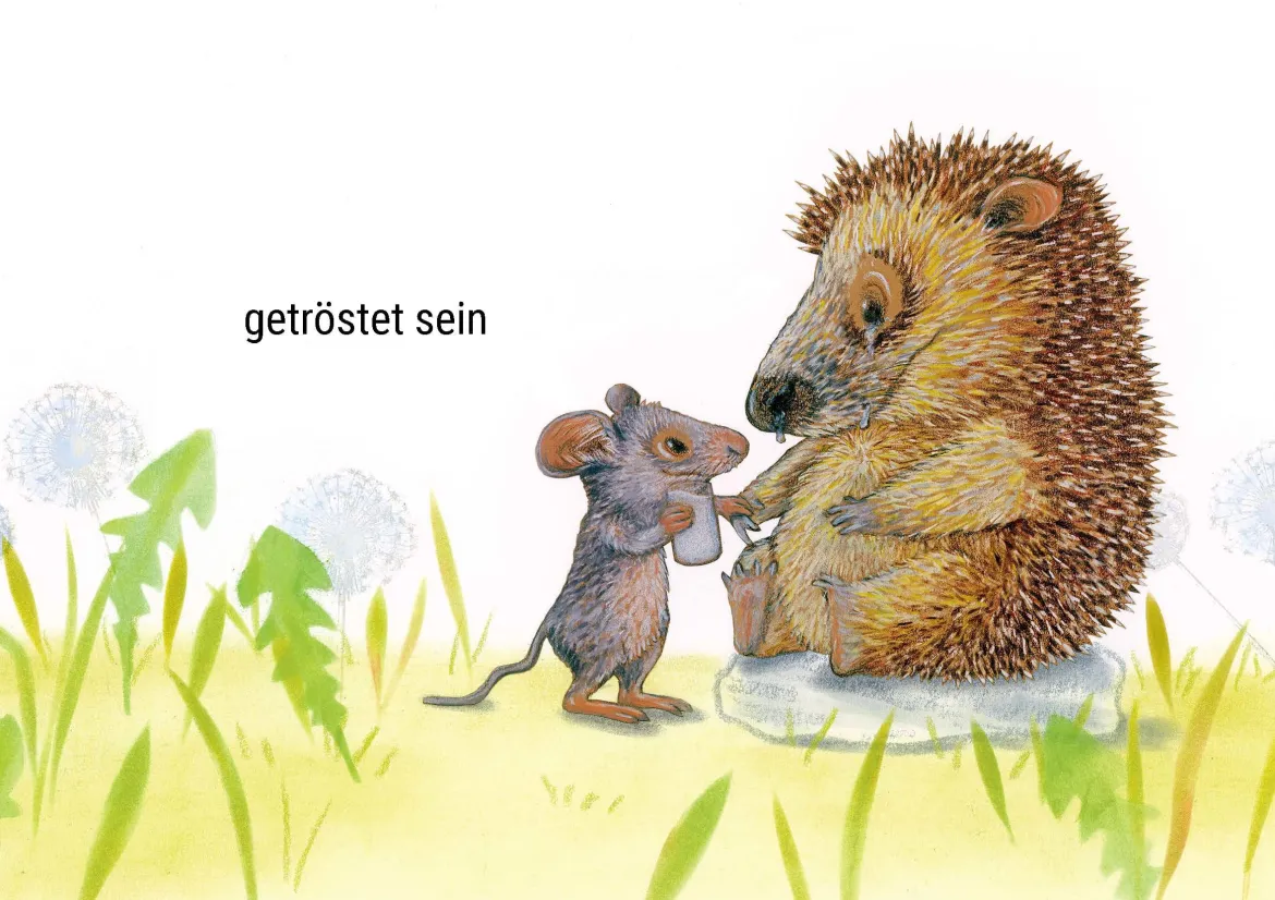 Da sein. Was fühlst du?, 30 Wendebildkarten, ab 3 Jahre