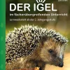 Der Igel im fächerübergreifenden Unterricht
