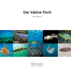 Der kleine Fisch, kosmisches Leseheft, ab 6 Jahre