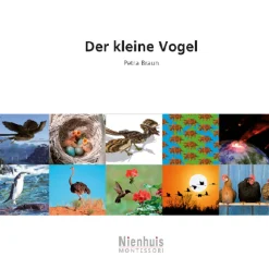 Der kleine Vogel, kosmisches Leseheft, ab 6 Jahre