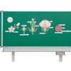 Die Kirschblüte - Von der Blüte bis zur Frucht, ab 5 Jahre