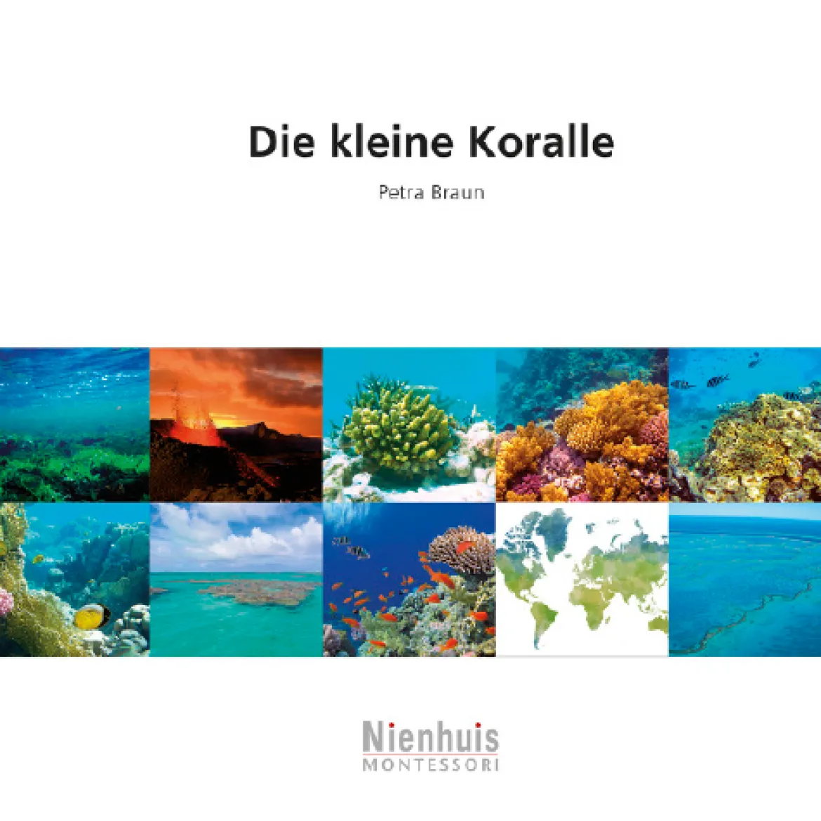 Die kleine Koralle, Kosmisches Leseheft, ab 6 Jahre