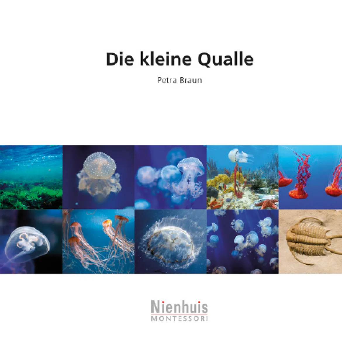 Die kleine Qualle, Kosmisches Leseheft, ab 6 Jahre