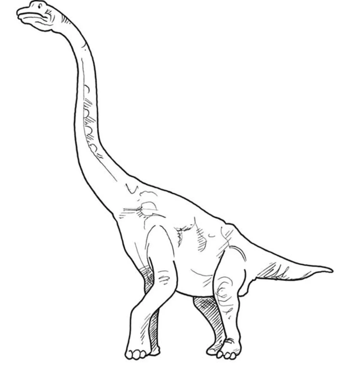 Dinosaurier - Werkstatt, 3./4. Klasse