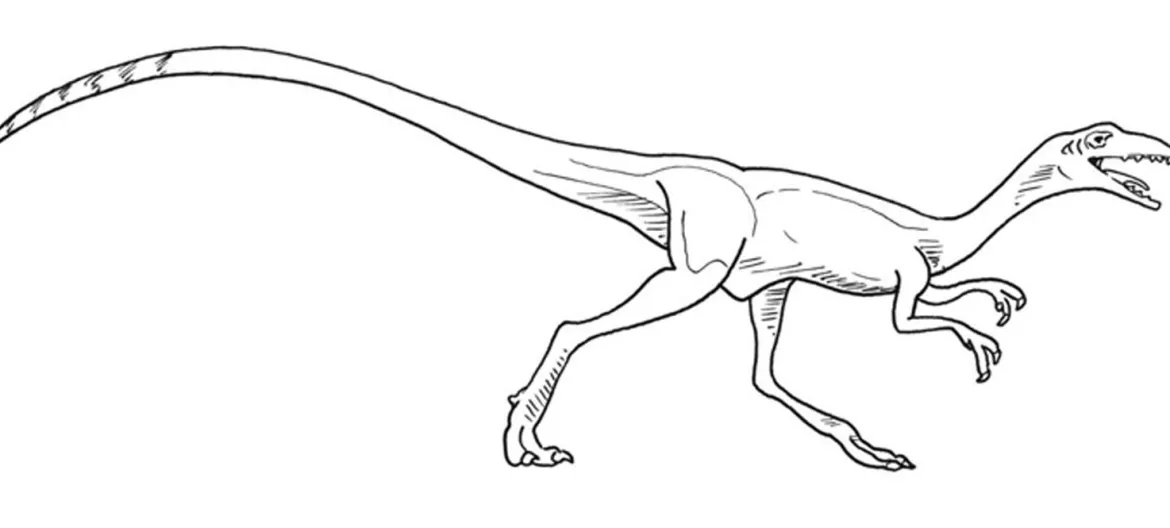 Dinosaurier - Werkstatt, 3./4. Klasse