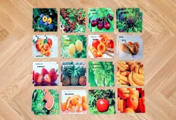 Double Game Obst, Bodenspiel aus Teppichfliesen
