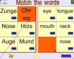 English for Us (Schullizenz)