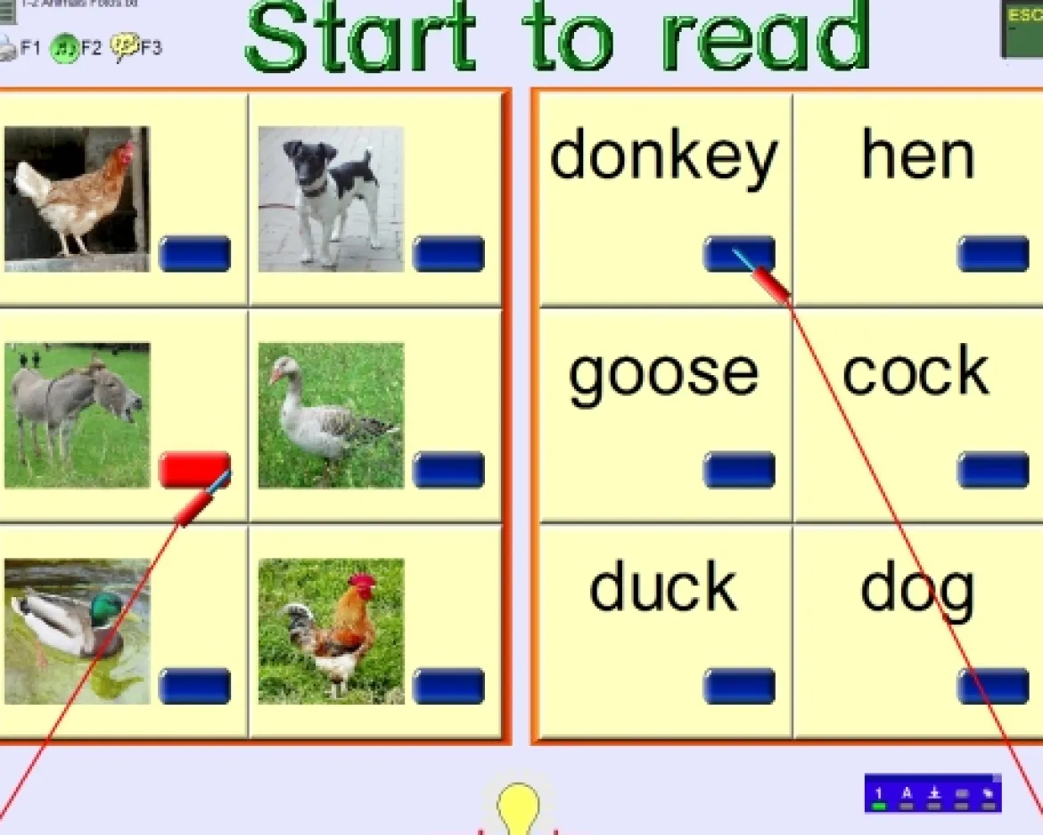 English for Us (Schullizenz)