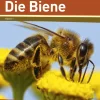 Erste-Klasse-Projekt: Die Biene - Broschüre