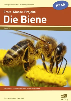 Erste-Klasse-Projekt: Die Biene - Broschüre