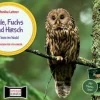 Eule, Fuchs und Hirsch. Tiere im Wald, Kamishibai, ab 3 Jahre