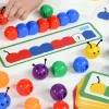 Farbsequenzierungs-Käfer, ab 3 Jahre, komplett in Englisch