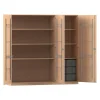 Flexeo Musikschrank Buche hell, HxBxT: 190 x 190,5 x 60 cm, 6 große Boxen transparent, Bogengriff mit Schloss