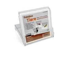 Fotobox Tiere: Vögel, Fische, Insekten, Reptilien und Amphibien