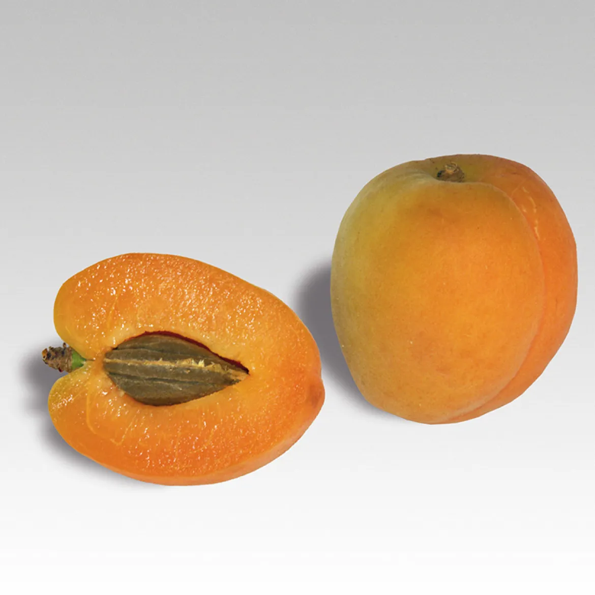 Fotokarten Lebensmittel Obst
