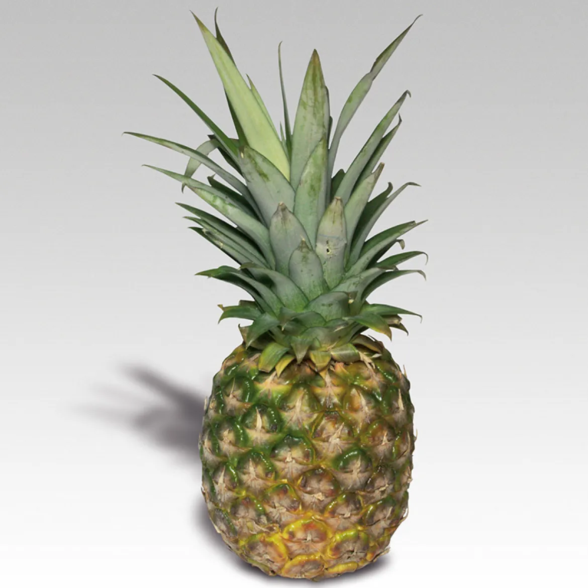 Fotokarten Lebensmittel Obst