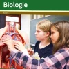 Freiarbeitsmaterialien für die 6. Klasse: Biologie, Buch