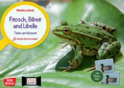 Frosch, Biber und Libelle. Tiere am Wasser. Kamishibai Bildkarten und Memo-Spiel, ab 3 Jahre