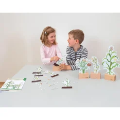 Getreidearten bestimmen leicht gemacht, Lehrmaterial, 6-10 Jahre