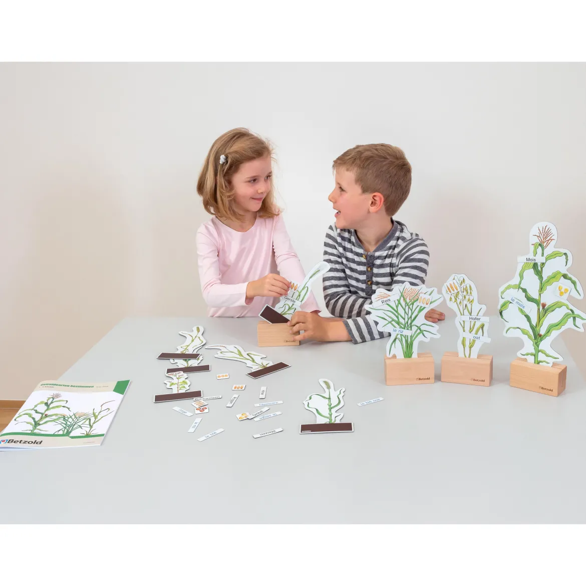 Getreidearten bestimmen leicht gemacht, Lehrmaterial, 6-10 Jahre
