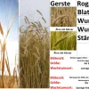 Getreide Zusatz 2er Set in Box
