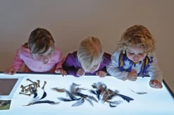 Großer Leuchttisch, 180 x 60 cm, höhenverstellbar 66,5 bis 83,5 cm