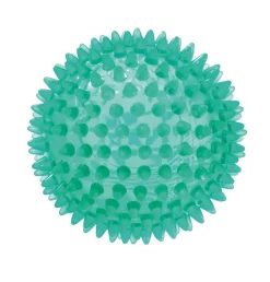 Gymnic Reflexball 10 cm, grün transparent