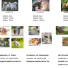 Heimtiere, Magnetkarten