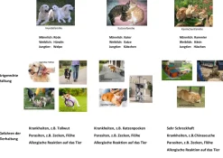 Heimtiere, Magnetkarten