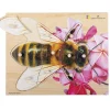 Holz-Puzzle Biene mit großen Griffen, ab 2 Jahre