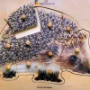 Holz-Puzzle Igel mit großen Griffen, ab 2 Jahre