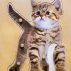 Holz-Puzzle Katze mit großen Griffen, ab 2 Jahre