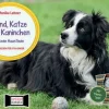 Hund, Katze und Kaninchen. Unsere Haustiere. Kamishibai Bildkarten und Memo-Spiel