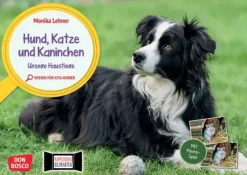 Hund, Katze und Kaninchen. Unsere Haustiere. Kamishibai Bildkarten und Memo-Spiel