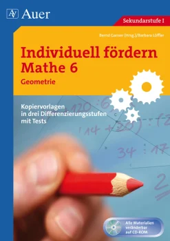Individuell fördern Mathe 6 Geometrie